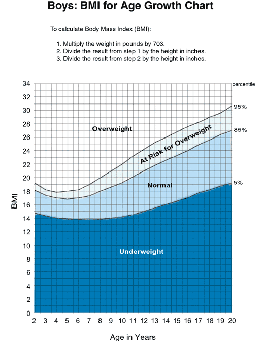 Boys: BMI for Age Growth Chart