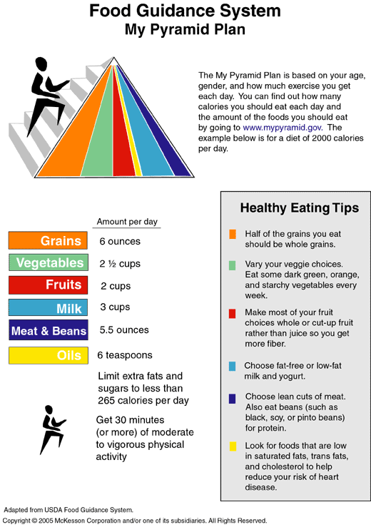Food Guidance System/My Pyramid Plan: Illustration