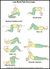 Thumbnail image of: Low Back Pain Exercises:  Illustration